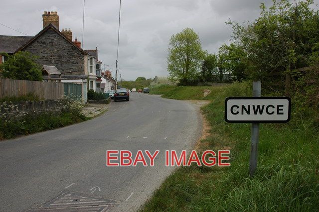 PHOTO  CNWCE SITUATED TO THE EAST OF CILGERRAN ON THE OS MAP IT IS SPELT CNWCAU. - Afbeelding 1 van 1